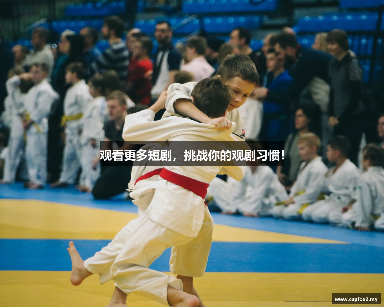 观看更多短剧，挑战你的观剧习惯！